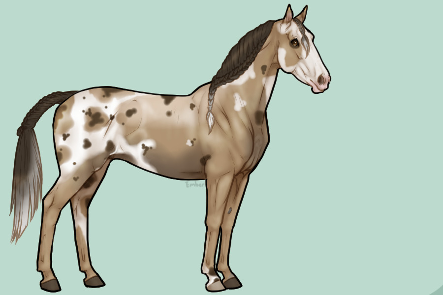 Horse Ref. 4