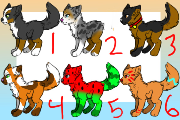 🐶Cheap Adopts!🐶 1 Left!