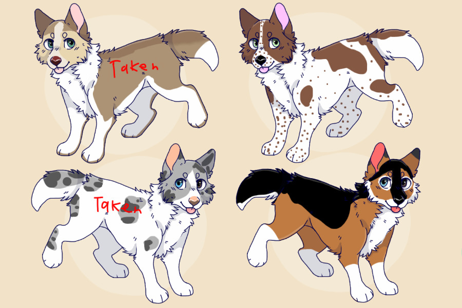 :.+*Dog Adopts!(OPEN)*+.: