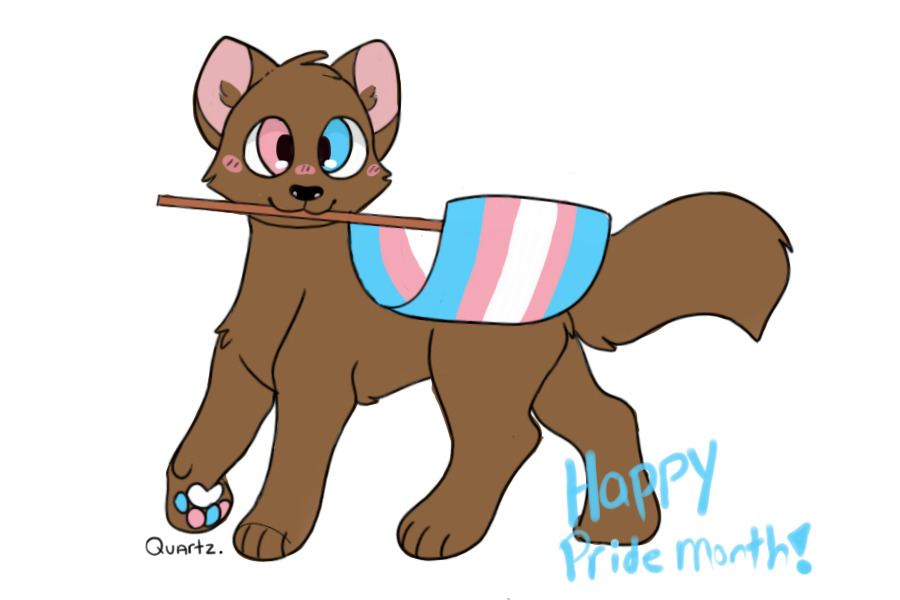 Transgender Pride - Happy Pride month!