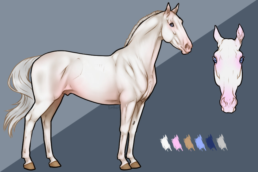 Cremello stallion