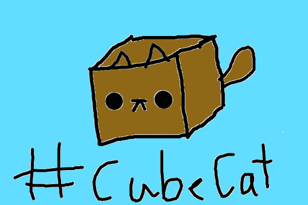 #cube cat