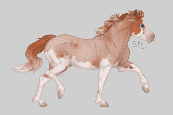 Ferox Welsh Ponies Artist Entry #01