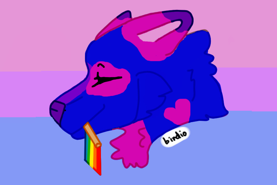 Bisexual Flag Dog