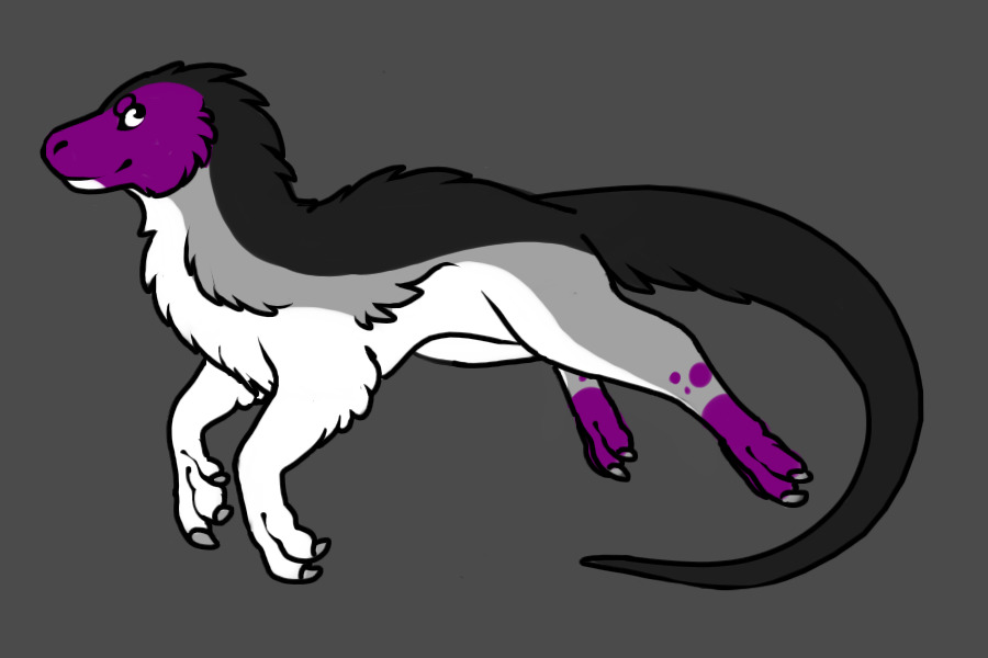 Cheap Asexual Pride Adopt