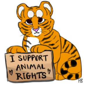 i support animal rights