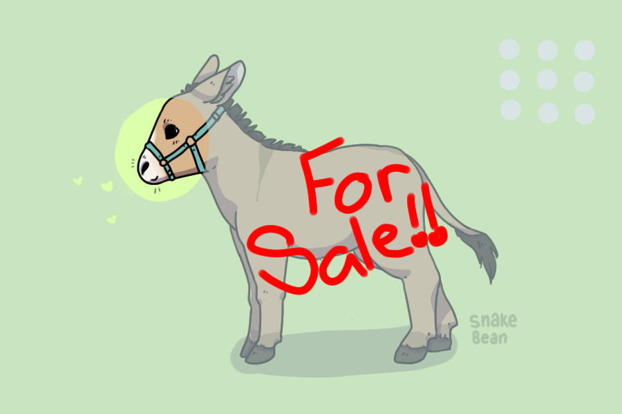Dilly Donkeys Species For Sale