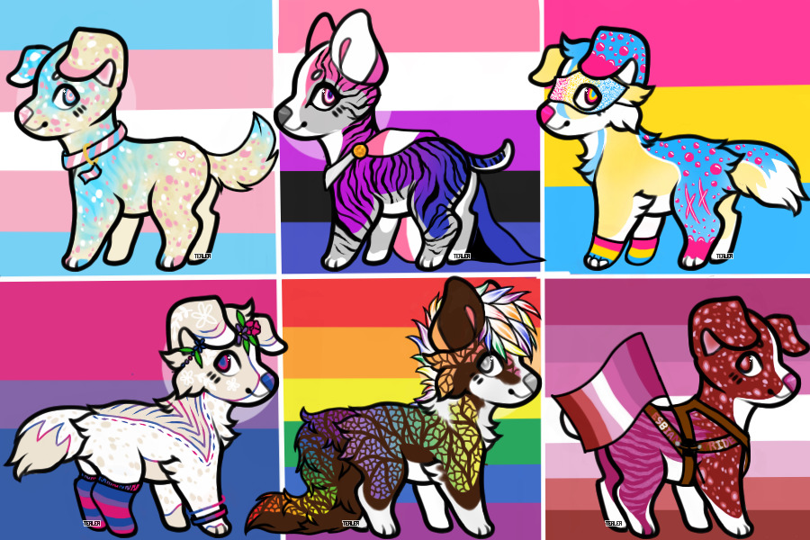 Pride Canine Adopts - 6/6 open