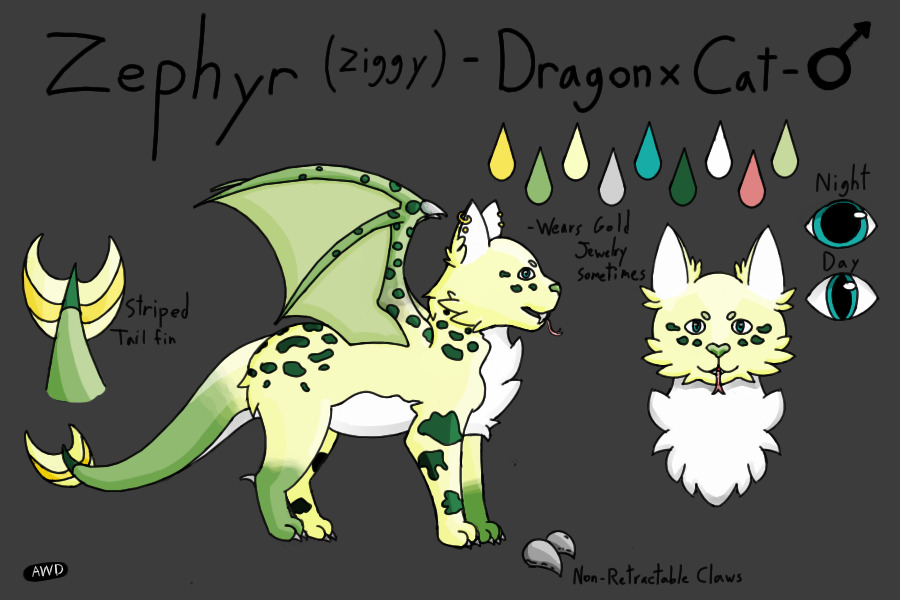 Zephyr the Dragon-Cat; New character; Read more!