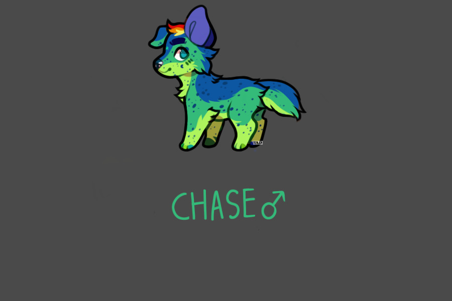 Chase ref