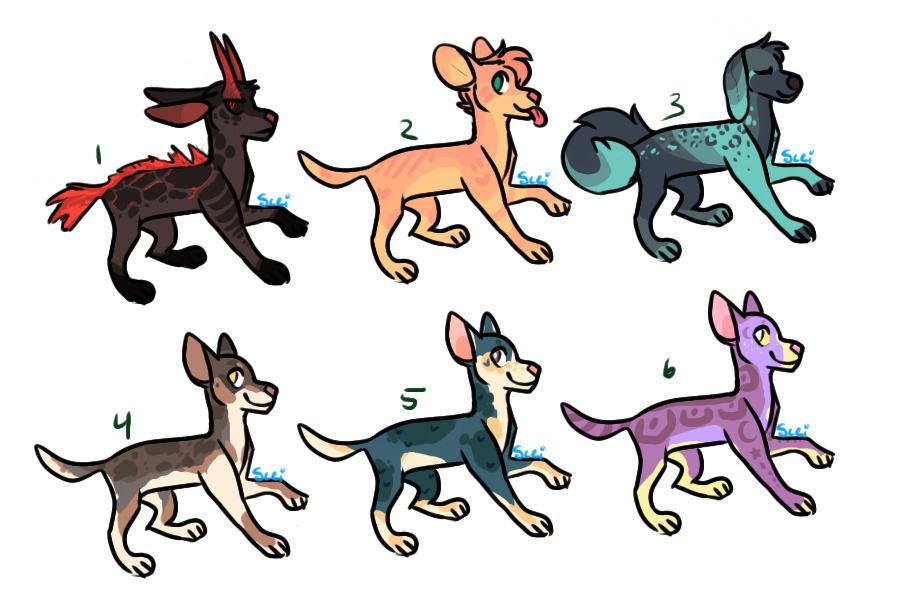 c$ canine adopts (one left!)