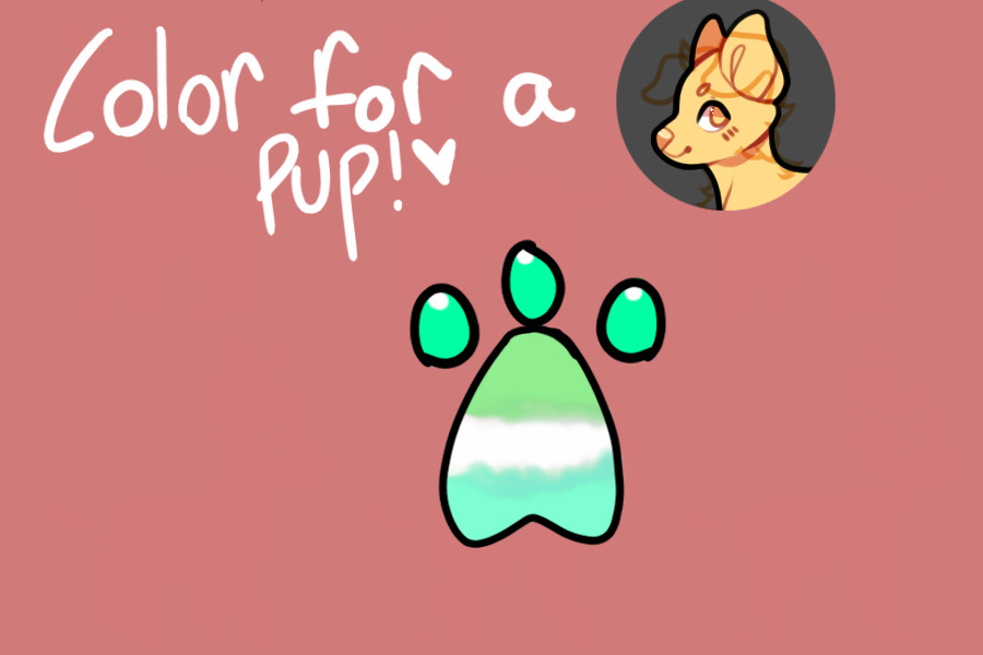 Color for a Pup <3