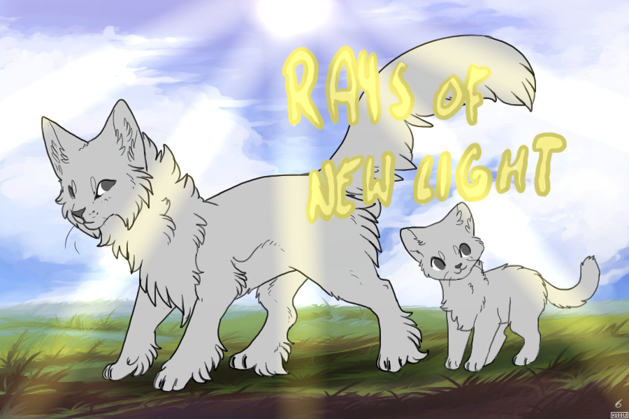 Rays Of New Light | A Warrior Cat-Based Adopt