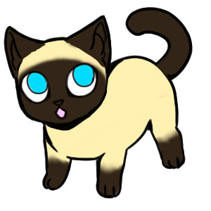 kitty avatar