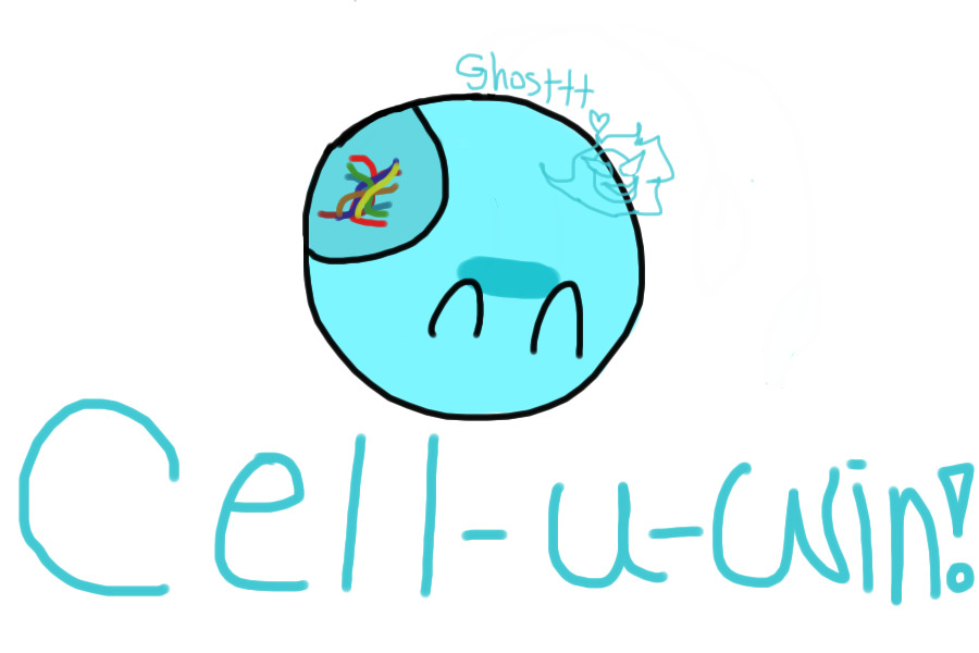 base for customs (DNP)