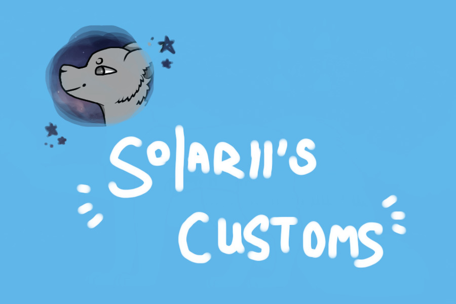 ＳＯＬＡＲＩＩ＇Ｓ || Customs