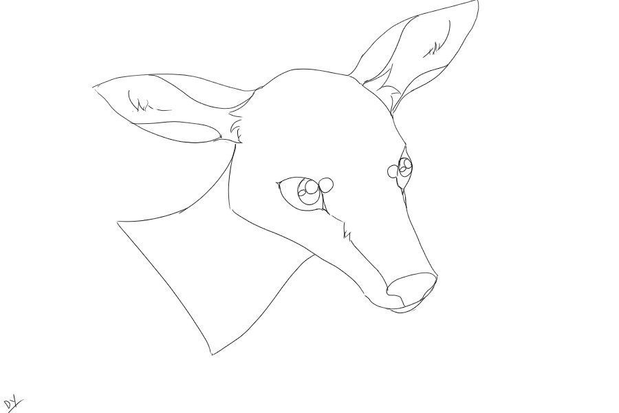 Quick Deer Sketch