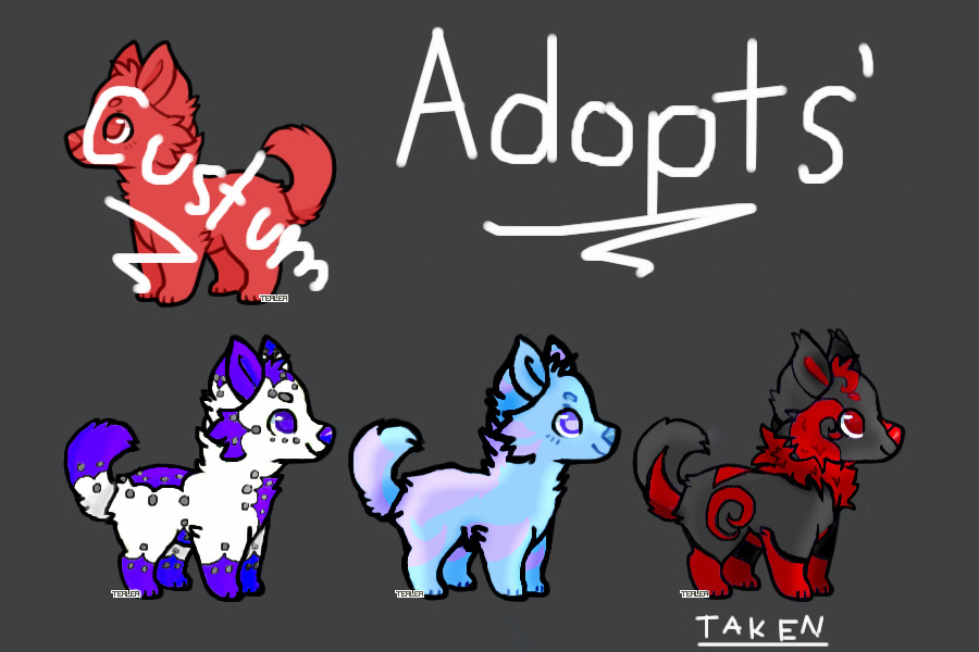 🌹3/4 puppy adopts open🌹