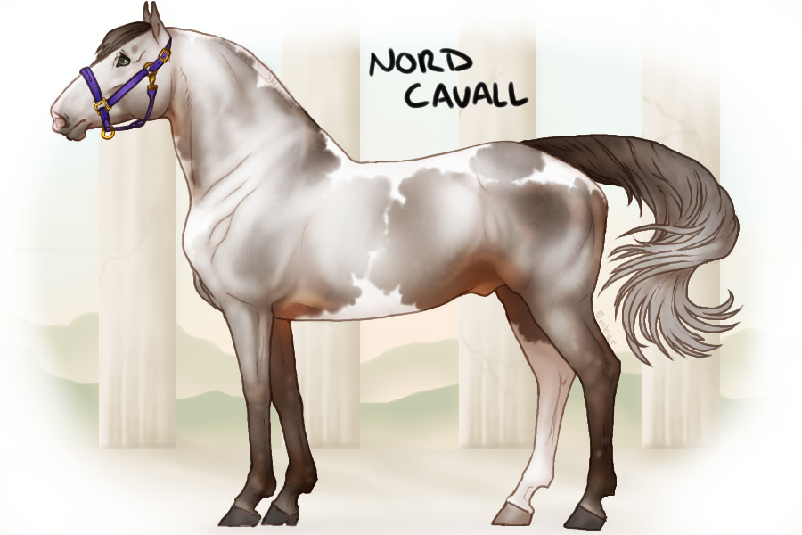 ◈ Nord Cavalls ◈ Closed