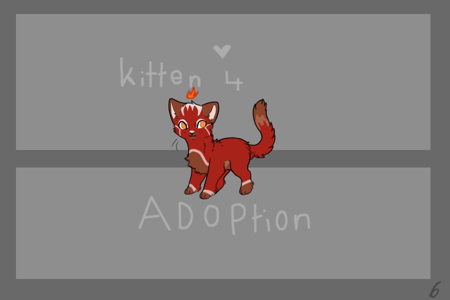 Adoptable Kitten