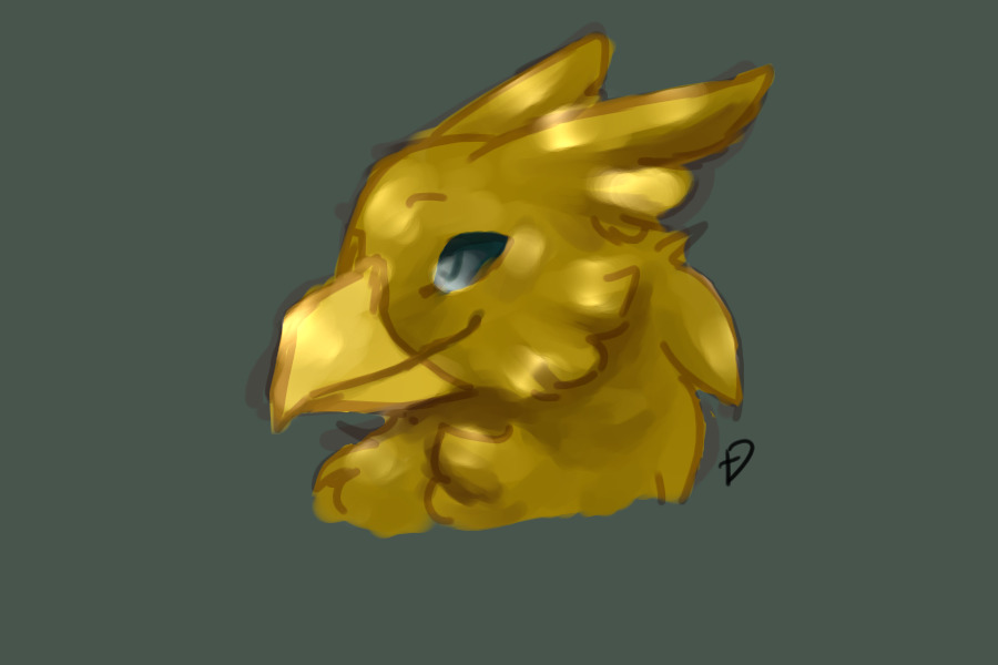 Skylion doodle