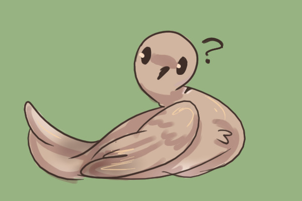 Vinny