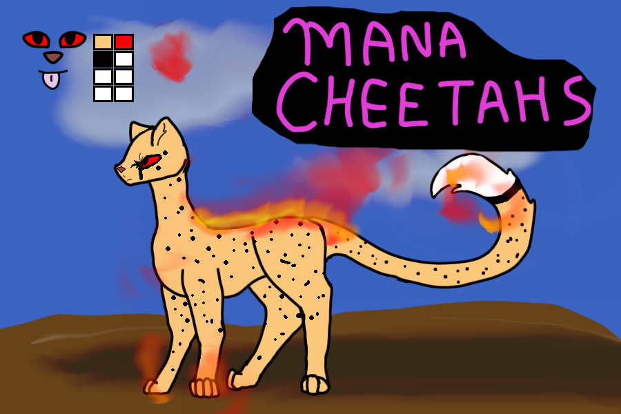 Mana Cheetahs - /\ Front Page /\