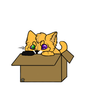 Kyna in a Box
