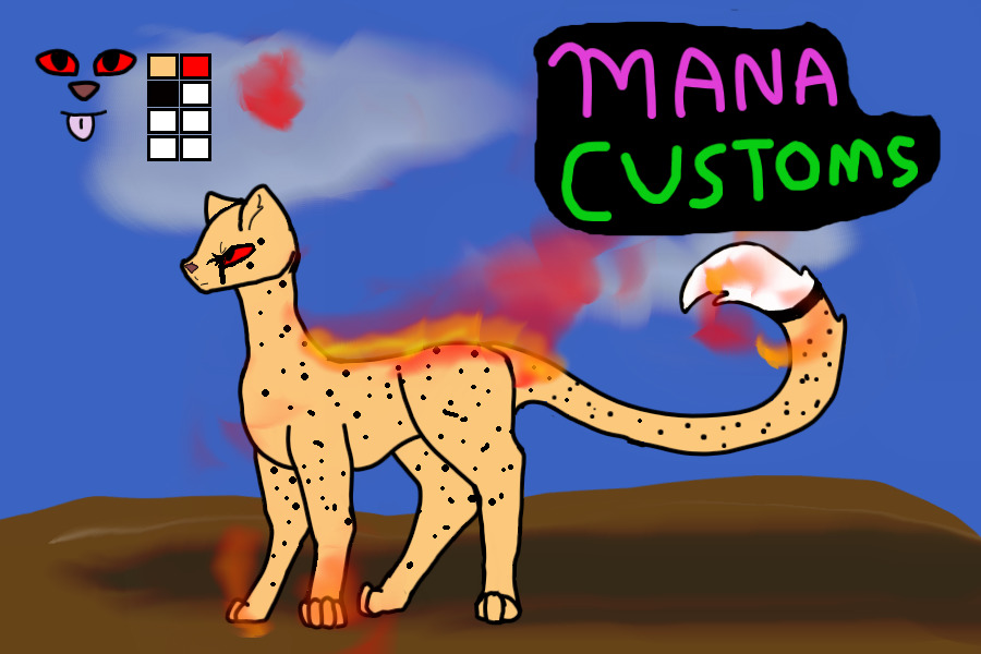 Mana Cheetahs - /\ Customs /\
