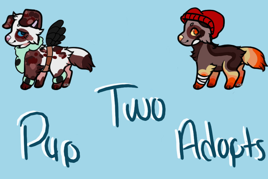 two cheap puppy adopts (closed)