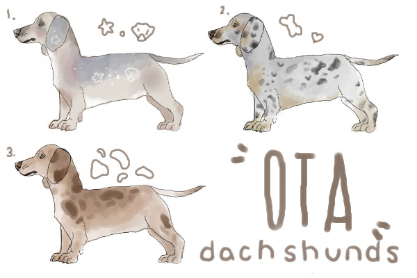 ota dachshunds! 1/3 left!
