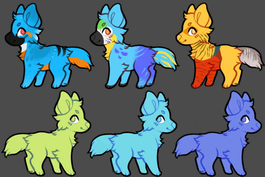 bird pup adopts!