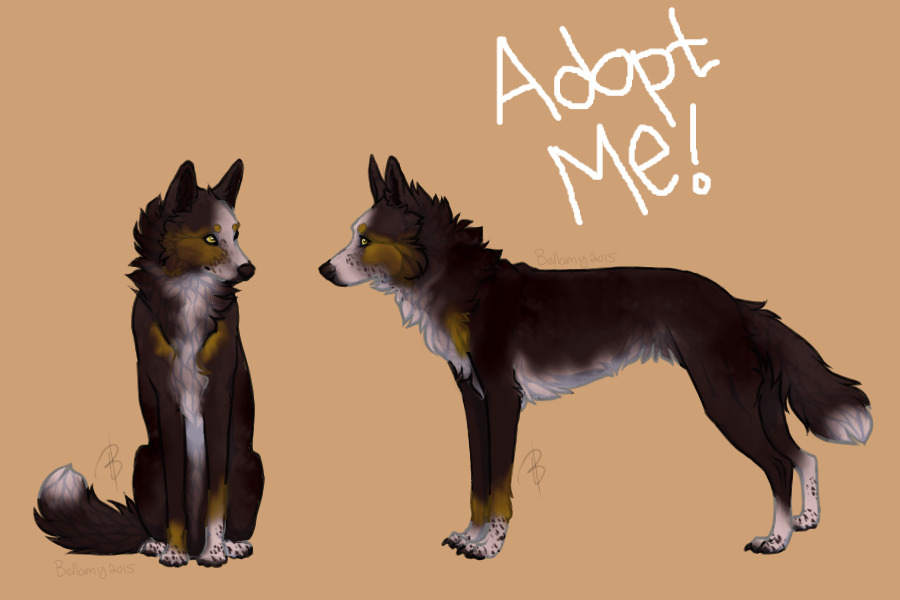 Adopt Me! - Wolf/Husky Adoptable