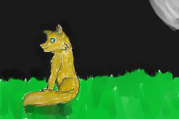 Wolf