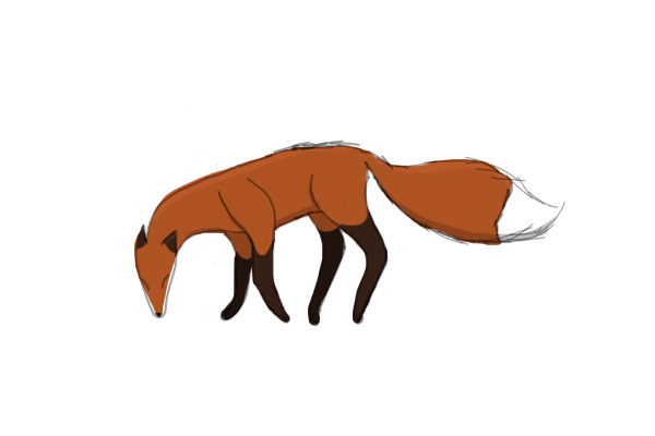 a fox.