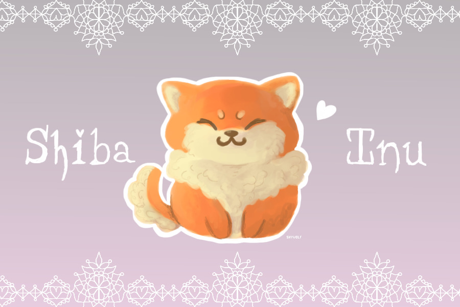 Shiba ♥ Inu