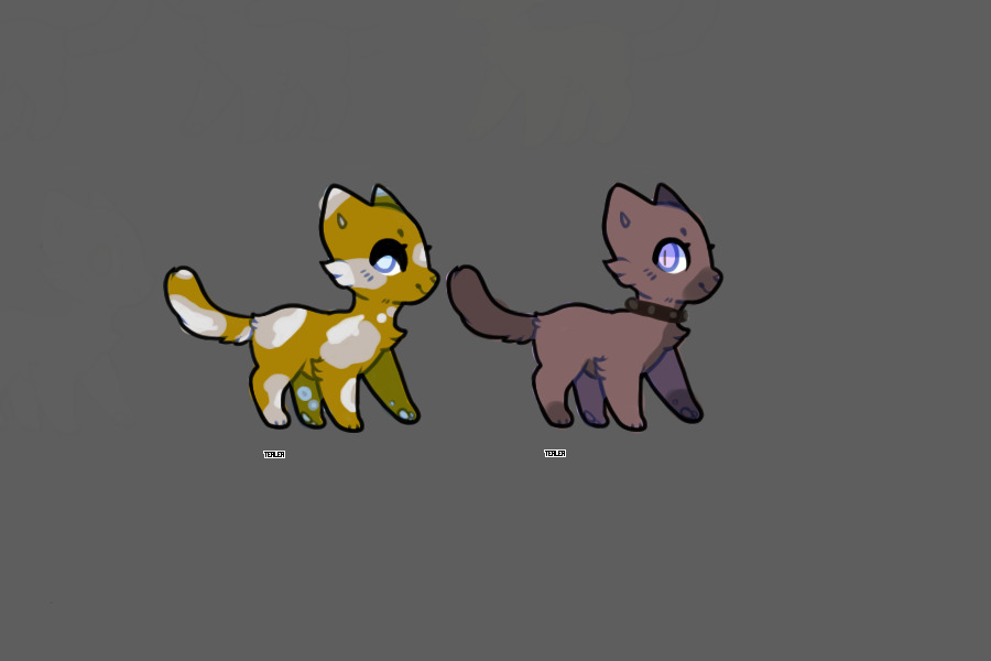 cattos