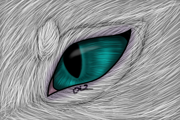 colour in