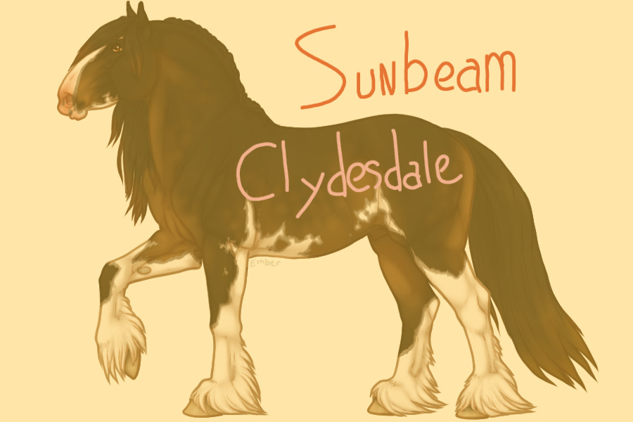 Sunbeam Clydesdale - Drafts of the Century