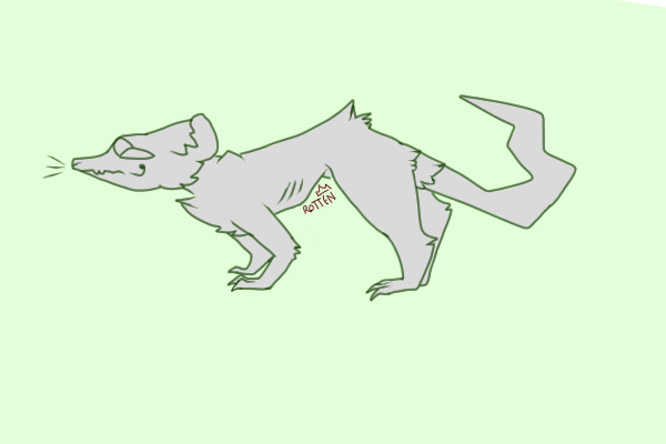 what the heck does a possum look like