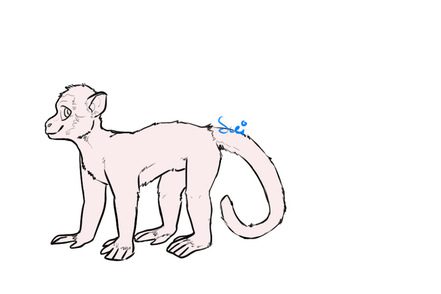 monkey sketch