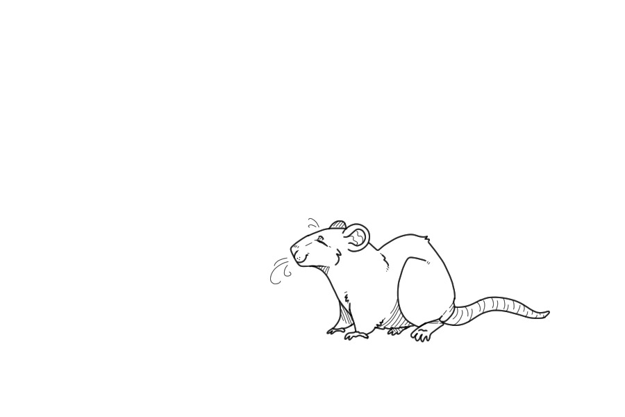 baby ratto gift lines