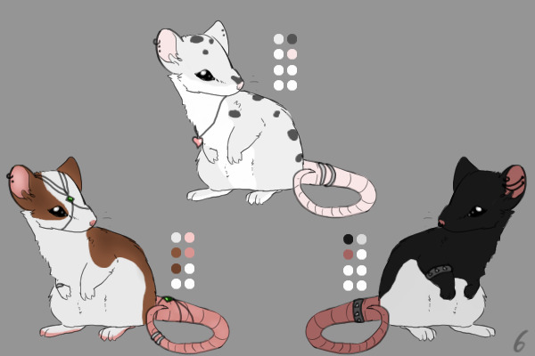 Rats for Sale