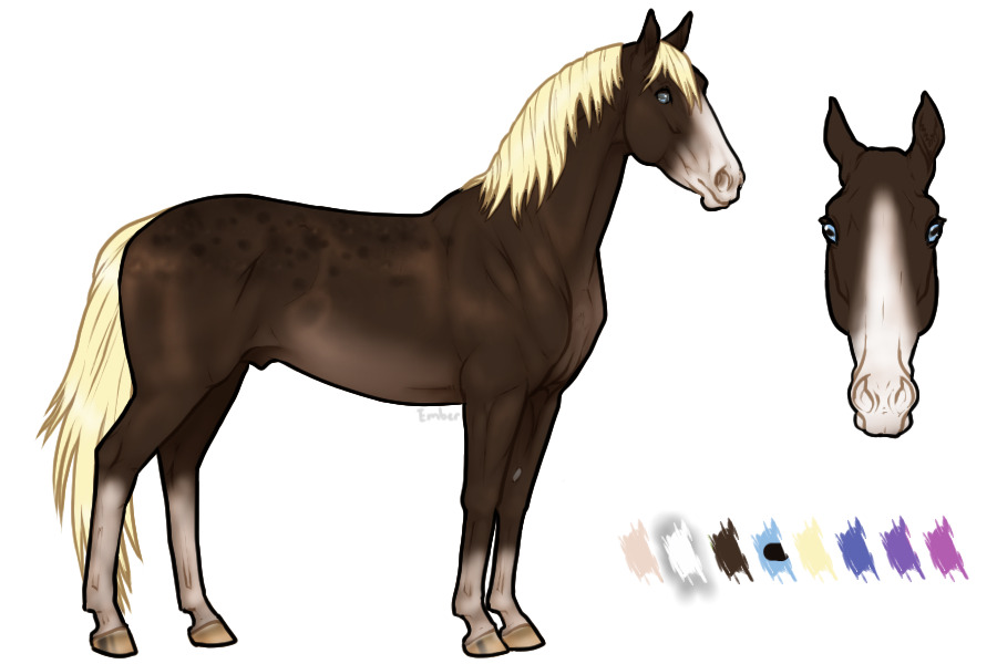 Another horse