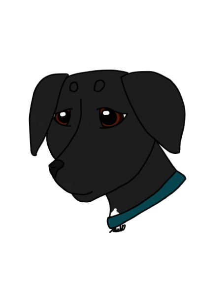 Gift Pet Art