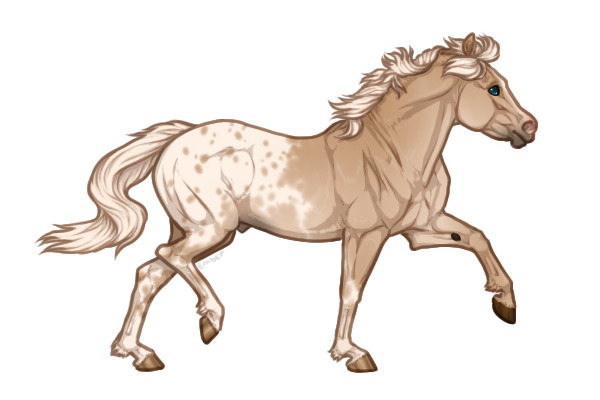Ferox Welsh Pony #86 - Palomino Appaloosa
