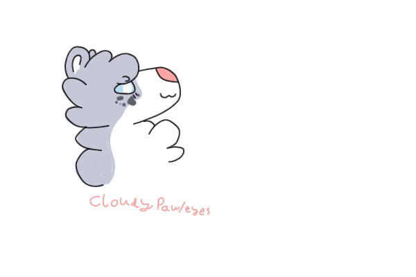 Cloudypaw