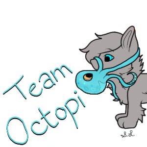 Team Octopi
