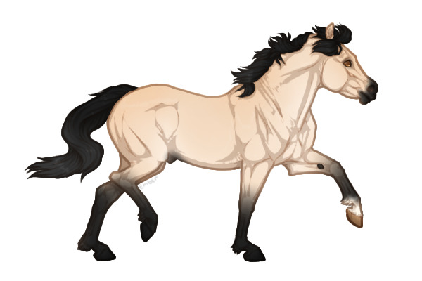 Ferox Welsh Pony #90 - Buttermilk Buckskin