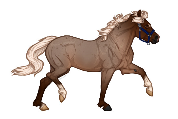 Ferox Welsh Pony #97 - Flaxen Lilac Roan